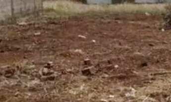 Imagem 2: Lote á venda jardim botânico 1 URGENTE