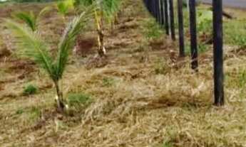 Imagem 3: Chácara Bonanza