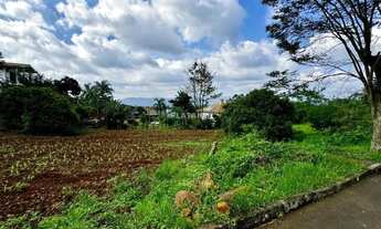 Imagem: Imóvel no Concórdia, Ivoti