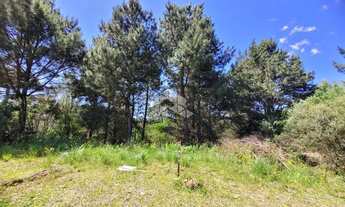 Imagem: TERRENO NO LOTEAMENTO MARSAL