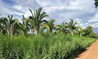 Imagem: Sítio com 55 hectares na região da cidade