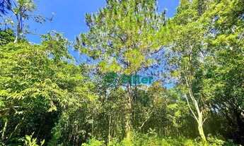 Imagem 5: Sítio de 3 hectares em Morungava