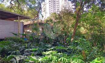 Imagem 7: Terreno à venda em Jardim Pinheiros - SP