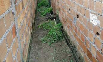 Imagem 3: Vendo treino no papagaio