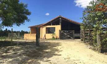 Imagem 4: Fazenda com 3 dormitórios à venda, 520000 m² por R$ 9.300.000 - Fazendinha - Araruama/RJ