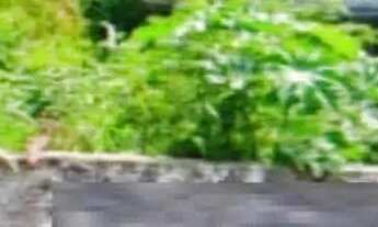 Imagem: Lote em Rua Rubens Gomes de Souza - Adalgisa