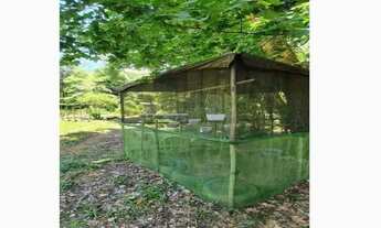 Imagem 4: Chacrinha 3000 m2 com lago. Ribeirão em Joanópolis SP