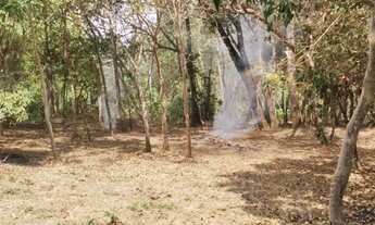 Imagem 7: Vende-se chácara de 9.800mts em Vianopolis