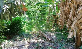 Imagem 5: Casa em Ferreiros - Vassouras, RJ