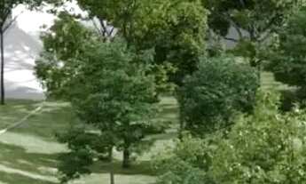 Imagem 3: Lotes no Parque das Borboletas Valores Imperdíveis e Financiamento Próprio