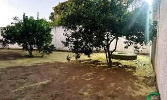 Imagem 6: Áreas à venda em rua pública, BOA VISTA, Arapiraca, AL