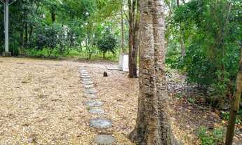 Imagem 2: Rancho as margens do Rio Tocantins, Peixe-To