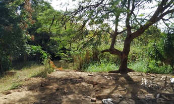 Imagem 6: Chácara 4.320 m², Jaboticabal - R$ 360 mil, Cod: 113