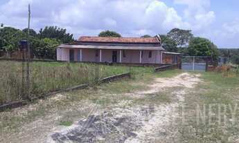 Imagem 4: Terreno para Venda em Jaguaripe, Cações