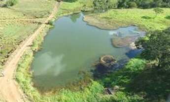 Imagem 2: Excelente Fazenda á venda com 10 alqueires no município de Monte Alegre de Minas - MG