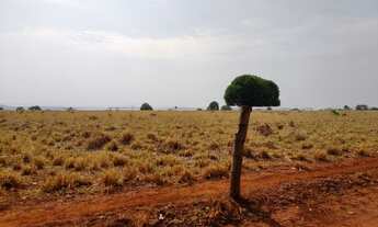 Imagem 3: Fazenda Dupla Aptidão 197 Alqueires. Tocantins