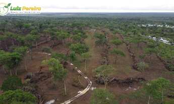 Imagem 3: FAZENDA À VENDA EM PIUM - TO - 1.021,24 HECTARES (DUPLA APTIDÃO