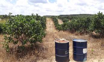 Imagem 2: Fazenda/Sítio/Chácara para venda 30 ta = 130.680 m2 na zona rural - Rio Real - BA