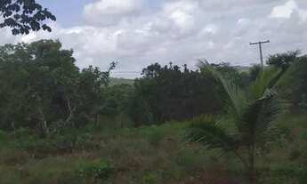 Imagem 5: Sitio cidade Araçás