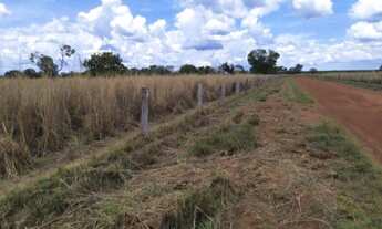 Imagem 3: Fazenda em Peixe