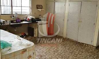 Imagem 6: São Paulo - Casa Padrão - ALTO DA MOOCA