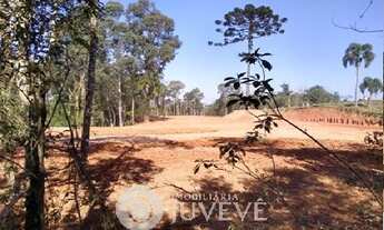 Imagem 4: IMOBILIÁRIA JUVEVÊ VENDE ÁREA DE EXPANSÂO HABITACIONAL UMBARÁ RUA ILÍRIA ZONTA BONATo 5700