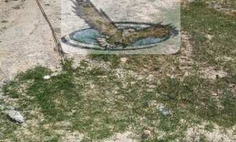 Imagem 6: Terreno para Venda em Itatiba Country Club Itatiba-SP - TE837