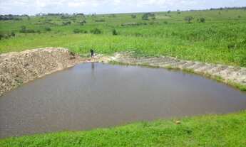 Imagem 4: Promoção 15,5 tarefas em São Sebastião