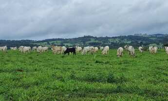 Imagem 5: IMOVEL EXTRA )Chácara de 7,23 Alqueires Alto Padrão