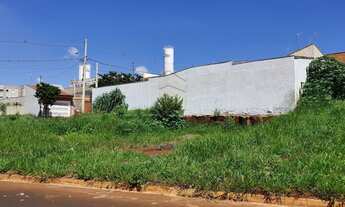 Imagem 3: Terreno Padrão em Sertãozinho