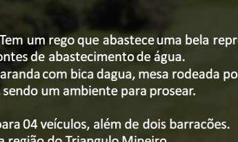 Imagem 2: Chácara 9.154 m² - Dentro da cidade de Monte Alegre