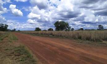 Imagem 5: Fazenda em Peixe