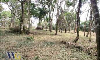 Imagem 4: Chácara para Venda em Campo Largo, Estrada da Faxina/Taquaral