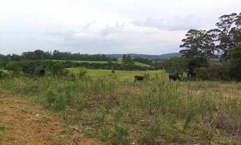 Imagem 5: Sítio à venda, 4 quartos, Sitio São José - Viamão/RS