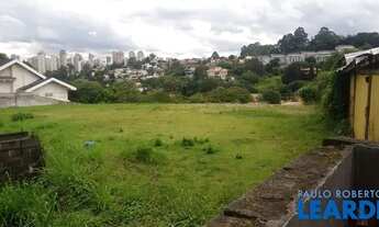 Imagem 3: TERRENO - PANAMBY - SP