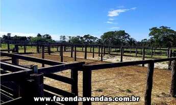 Imagem 6: Fazenda 25,5 alqueires em Corumbá de Goiás próximo a Alexânia GO