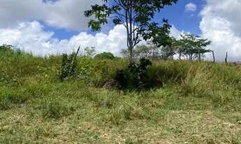 Imagem 5: Terreno em Nossa Senhora do Socorro