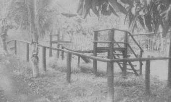 Imagem 5: Uberlândia/MG - Sítio/ Chácara 2.350,00m² no Condomínio Miranda 2000 / JB30515