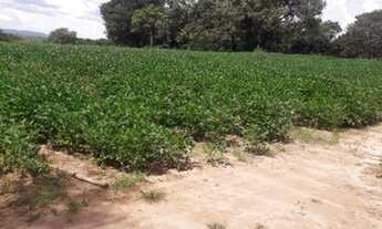 Imagem 4: Sitio em patrocinio paulista 12 alqueires 2.200.000.00