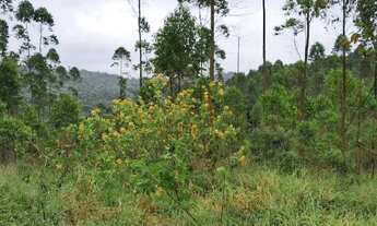 Imagem 4: Loteamento e Condomínios liberado pra construir Cd. 76W