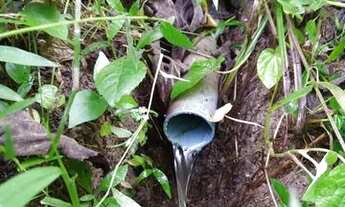 Imagem 7: Sítio 2,42 ha no bairro Pedrão em Maria da Fé - MG