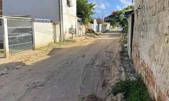 Imagem 5: Casa em pau amarelo