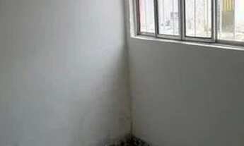 Imagem 3: Casas em prazeres