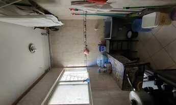 Imagem 4: Eucalipto/ ponto novo