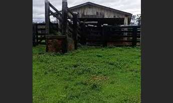 Imagem 3: Fazenda com 1016 Hectares, município de Guiratinga- MT