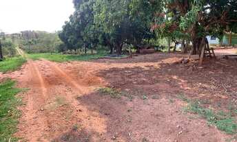 Imagem: 133. Fazenda à venda de 200 hectares para