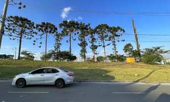 Imagem 7: Terreno 125m² - Terra Nobre Granja Vianna