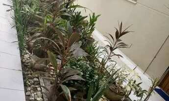 Imagem 7: Apartamento na Várzea