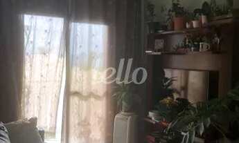 Imagem: São Paulo - Apartamento Padrão - Alto