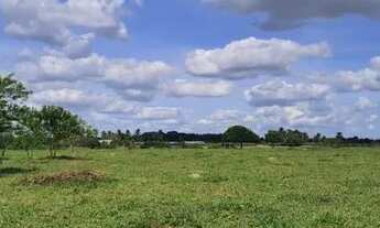 Imagem 2: SITIO CHACARA FAZENDA CONCEICAO JACUIPE (BERIMBAU) 7 TAREFAS OTIMA LOCALIZACAO